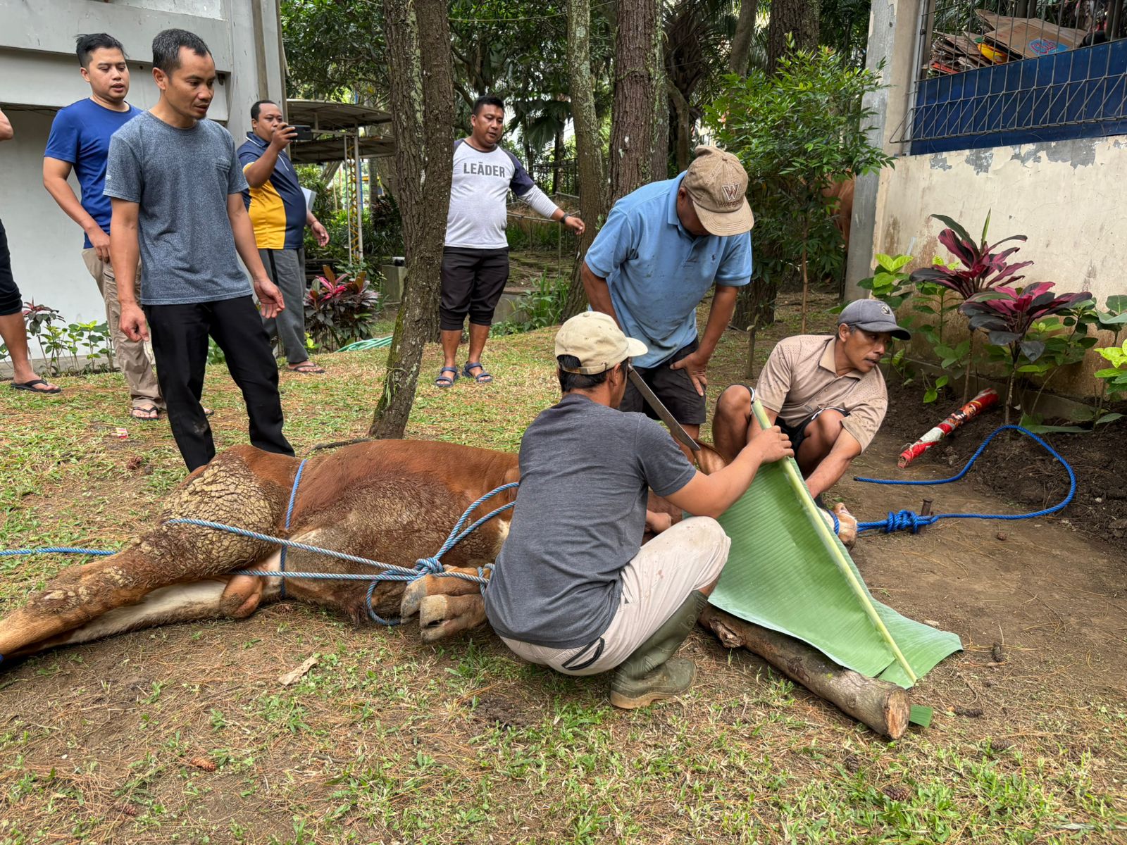 Wujud Kepedulian Sesama, FEB UB Salurkan 230 Paket Daging Qurban di Gedung D